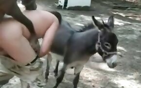 Comendo a esposa cavala no cho do banheiro - donkey, videos with beastiality